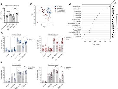 Labour promotes systemic mobilisation of monocytes, T cell activation and local secretion of chemotactic factors in the intervillous space of the placenta